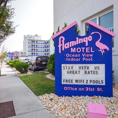 Flamingo Motel Ocean City Luaran gambar